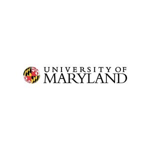 Online Advertising & Social Media by the University of Maryland