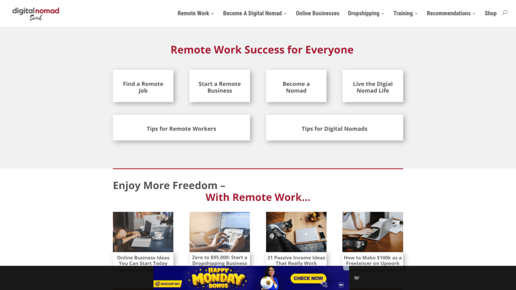 screenshot of the digital-nomad-soul homepage