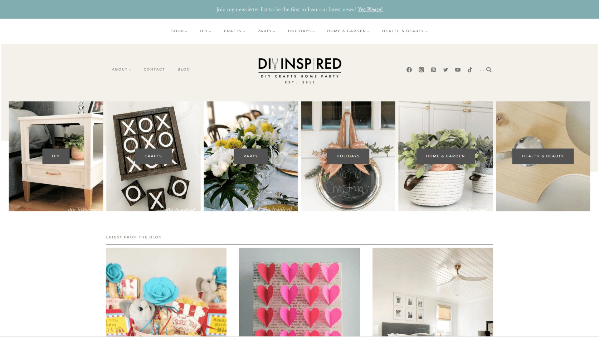 screenshot of the DIY insipred homepage