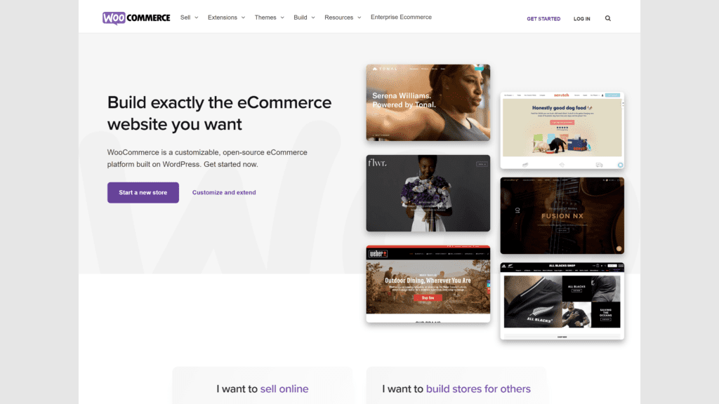 screenshot of the woocommerce homepage