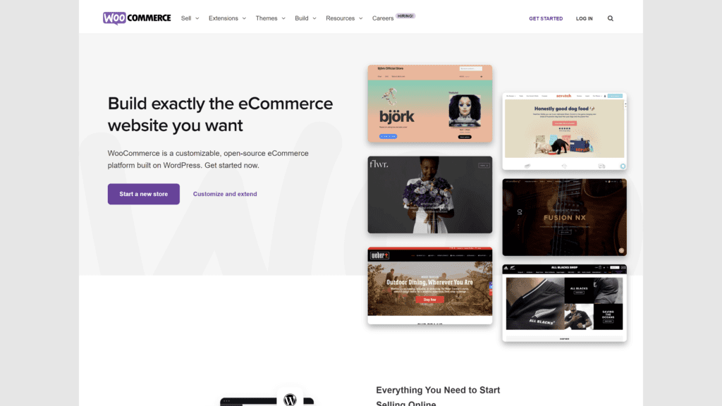 screenshot of the woocommerce homepage